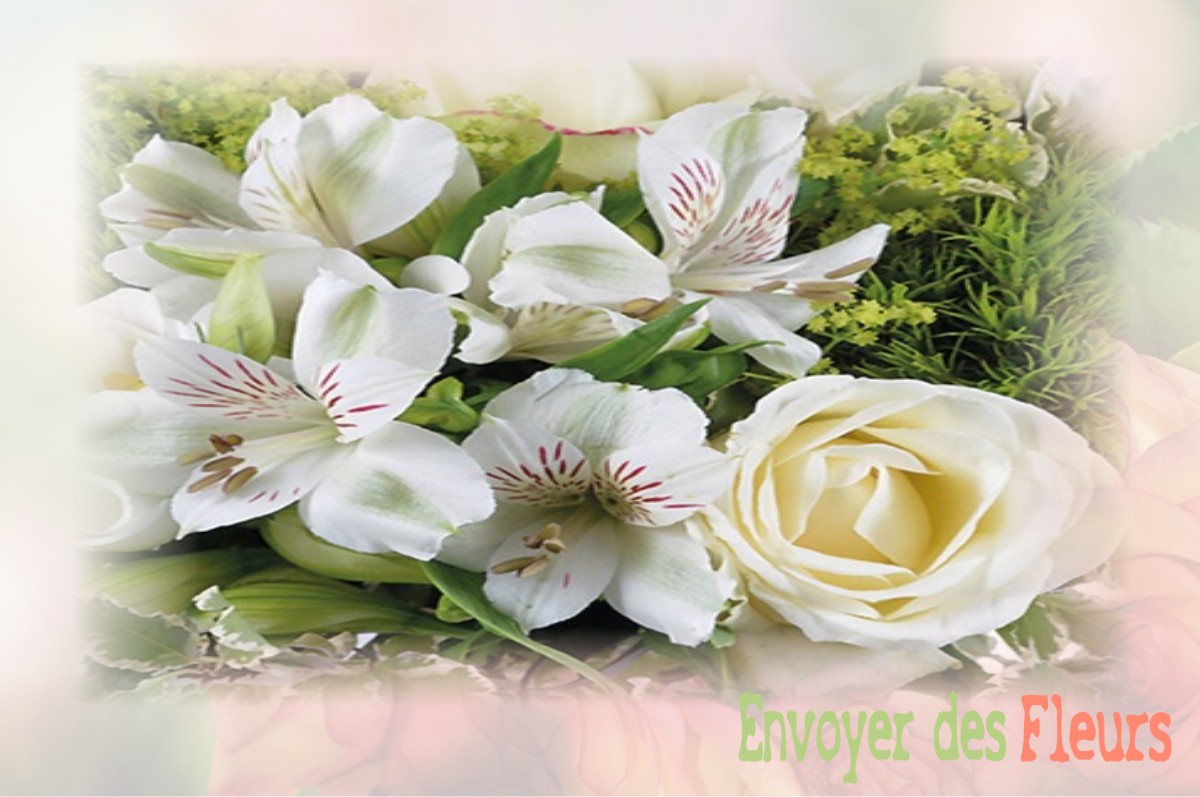 envoyer des fleurs à à DOMMARTIN-LE-FRANC